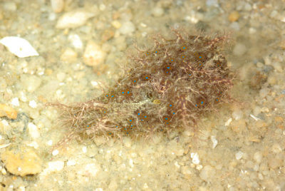 DSC_0180.jpg