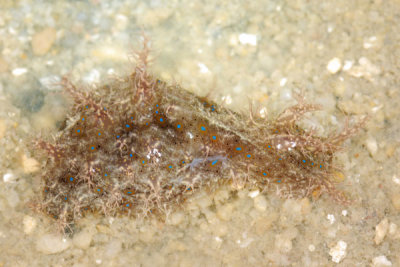 DSC_0183.jpg