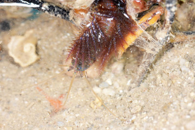 DSC_0220.jpg