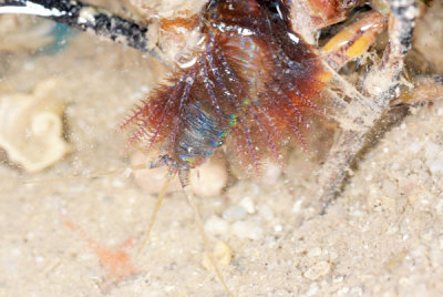 DSC_0221.jpg