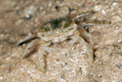 DSC_0226.jpg