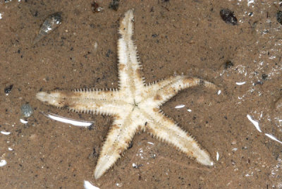 DSC_0229.jpg