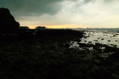 P1020047.jpg