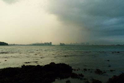 P1020048.jpg