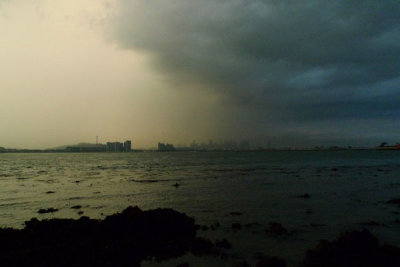 P1020049.jpg
