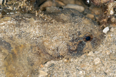 DSC_0257.jpg