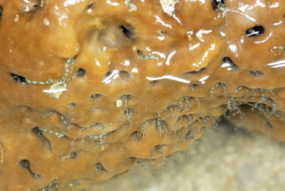DSC_0260.jpg