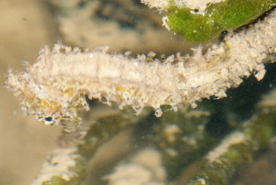 DSC_0297.jpg
