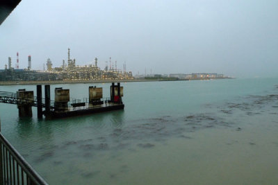 P1020063.jpg