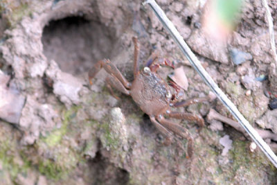 DSC_0766.jpg