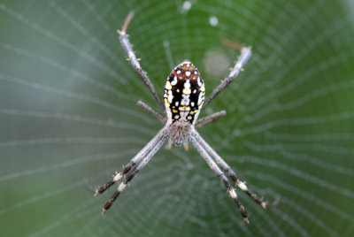 DSC_0780.jpg