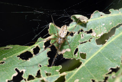 DSC_0816.jpg