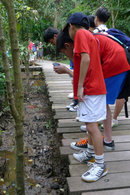 P1020151.jpg