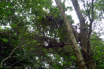 P1020155.jpg