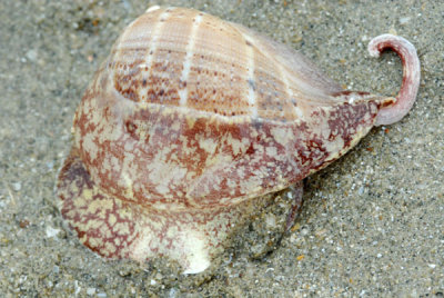 DSC_0822.jpg