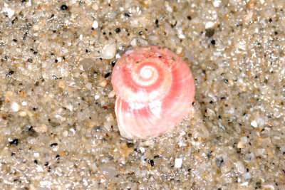 DSC_0834.jpg
