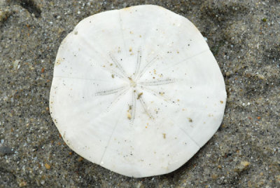 DSC_0837.jpg