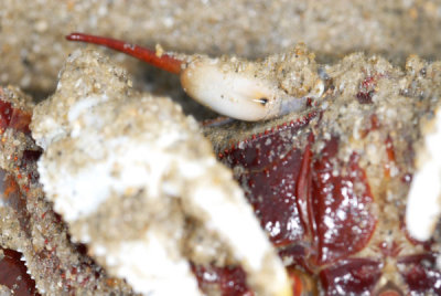 DSC_0844.jpg