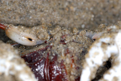 DSC_0845.jpg