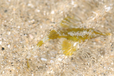 DSC_0851.jpg