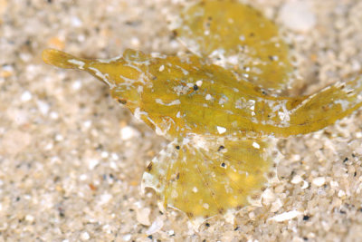 DSC_0854.jpg