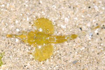 DSC_0857.jpg