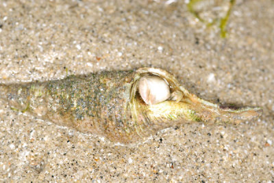 DSC_0863.jpg