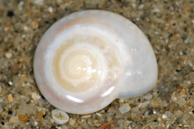 DSC_0865.jpg