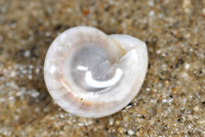 DSC_0866.jpg