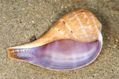 DSC_0885.jpg