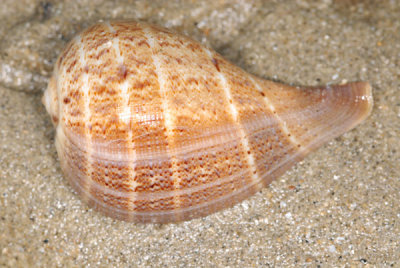 DSC_0886.jpg