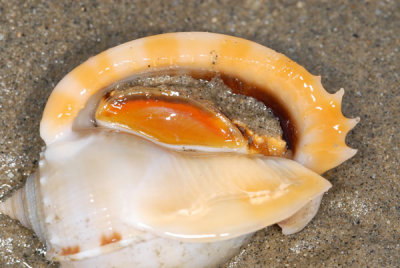 DSC_0891.jpg