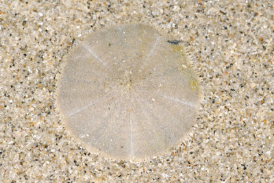 DSC_0898.jpg