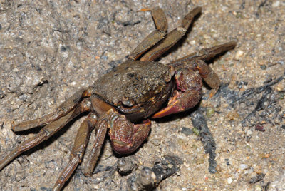 DSC_0906.jpg