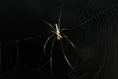 DSC_0909.jpg