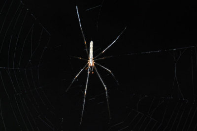 DSC_0911.jpg