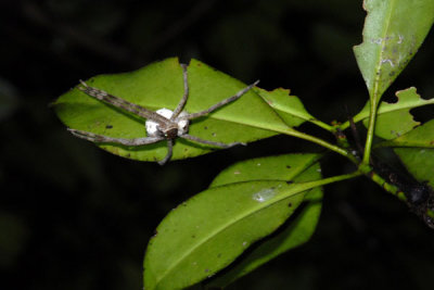 DSC_0953.jpg
