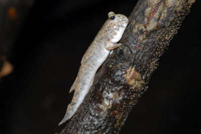 DSC_0979.jpg