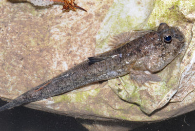 DSC_1007.jpg