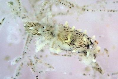 P1120142.jpg