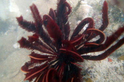 P2100536.jpg