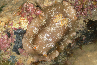 DSC_1091.jpg