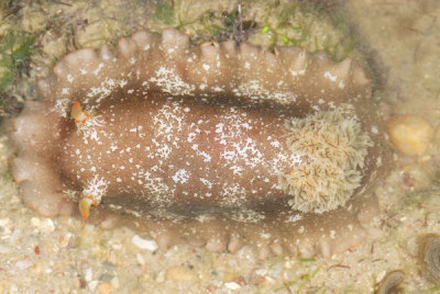 DSC_1092.jpg