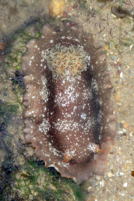 DSC_1093.jpg