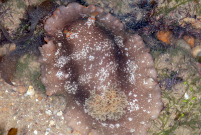DSC_1097.jpg