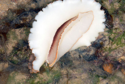 DSC_1103.jpg