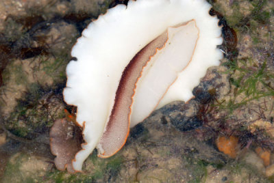 DSC_1104.jpg