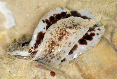 DSC_1112.jpg