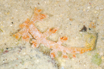 DSC_1115.jpg