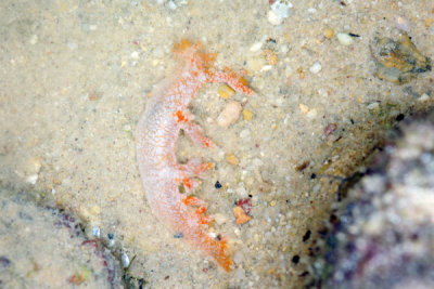 DSC_1125.jpg